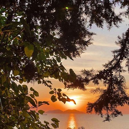 Villa Gaudium Radhimë Esterno foto